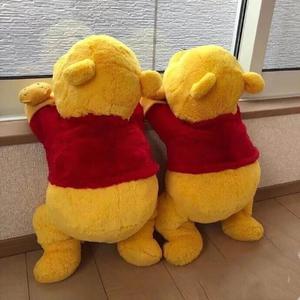 女性向纯爱片av播放
