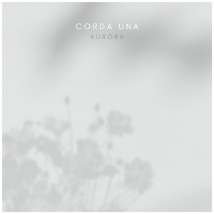 女性向纯爱片av播放
